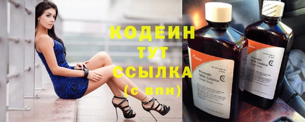 PSILOCYBIN Вяземский