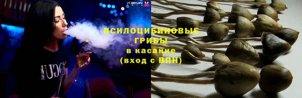 PSILOCYBIN Вяземский