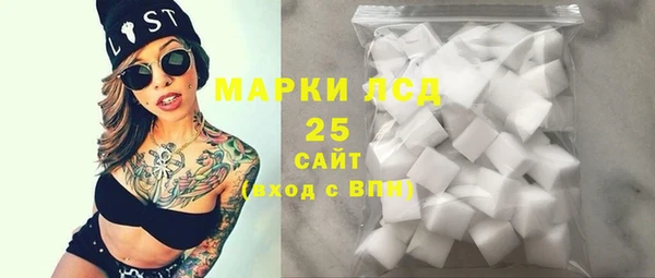 PSILOCYBIN Вяземский