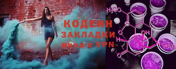 PSILOCYBIN Вяземский