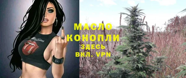 дживик Верхний Тагил