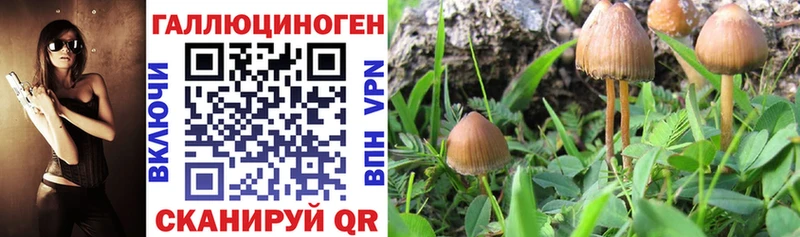 Галлюциногенные грибы Magic Shrooms Звенигород